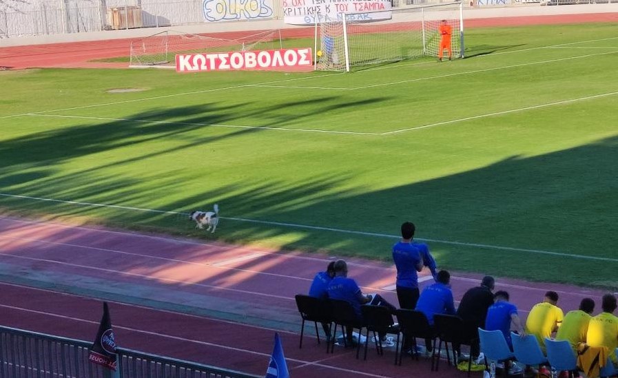 Τετράποδος «εισβολέας» διέκοψε το φιλικό Αιολικός-ΑΕΚ Β’!