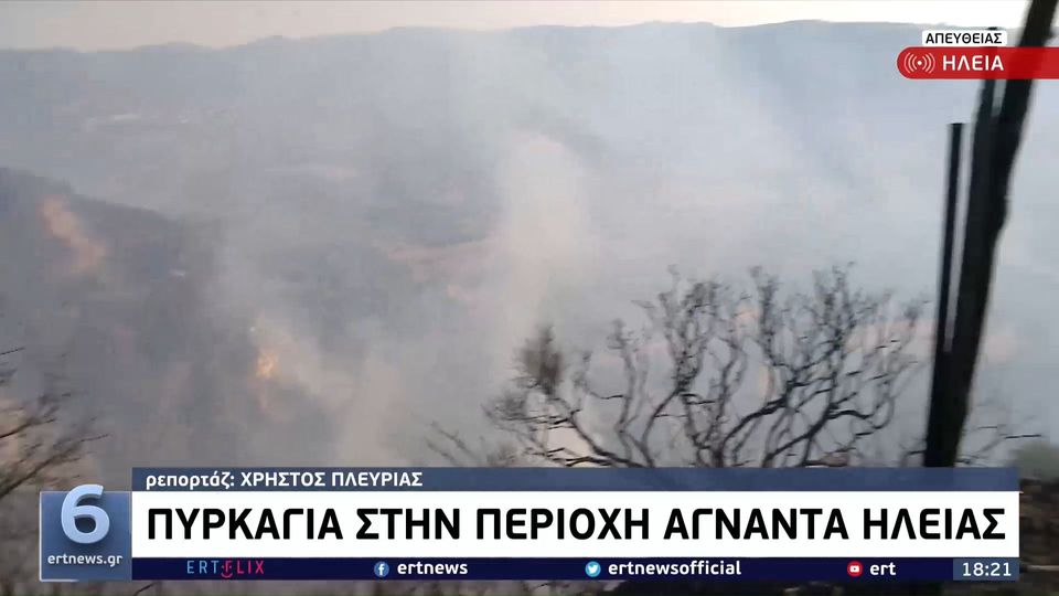 Ηλεία: Πυρκαγιά στην περιοχή Άγναντα – Τραυματίστηκαν τρεις πυροσβέστες