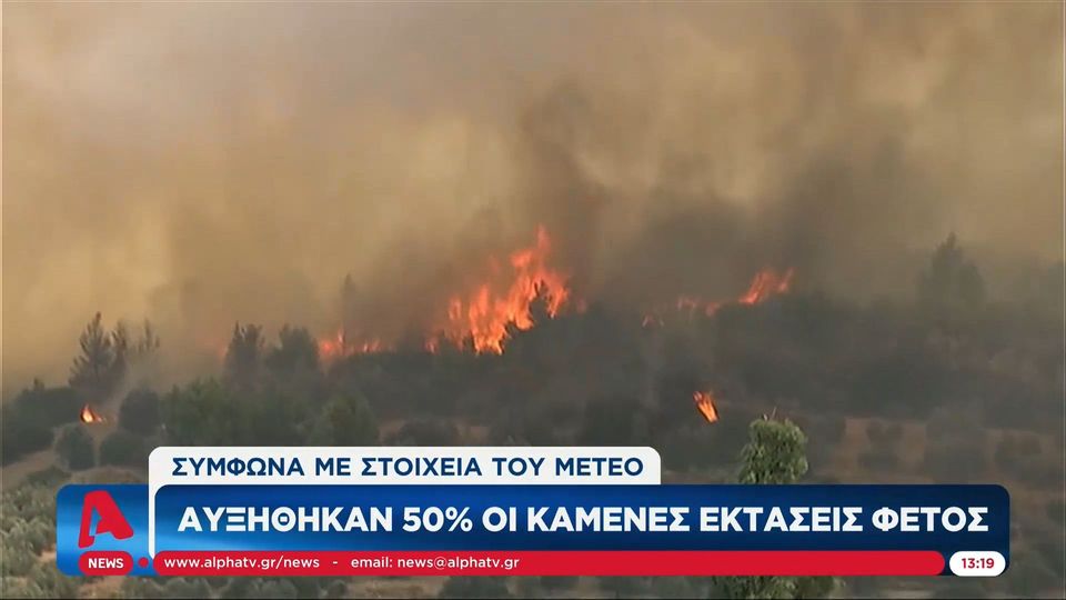 Αυξήθηκαν 50% οι καμένες εκτάσεις φέτος