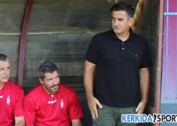 Ανυφαντάκης: «Περιμένουμε επιθετική ενίσχυση»