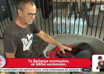 Ιεράπετρα: Ο «Άγιος» των αδέσποτων – Καταφύγιο για 500 ζώα – Βίντεο