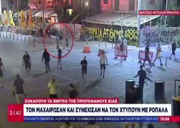 Σοκαριστικά βίντεο από τις τελευταίες στιγμές του Μιχάλη – Η επίθεση με ρόπαλο και η μοιραία μαχαιριά