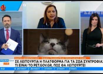 Σε λειτουργία η πλατφόρμα για τα ζώα συντροφιάς – Τι είναι το pet.gov.gr – Bίντεο