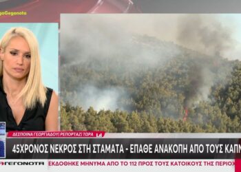 Φωτιά στη Σταμάτα: Ενας 45χρονος νεκρός από ανακοπή