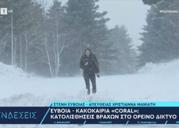 Λευκό τοπίο στην Εύβοια – Βίντεο