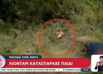 Τραγωδία στην Κένυα: Λιοντάρι κατασπάραξε παιδί